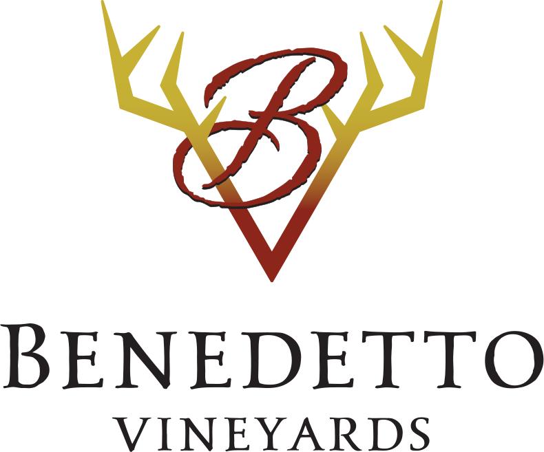 Bendetto Vineyards